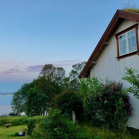 House By The Sea Villa Sortland Buitenkant foto