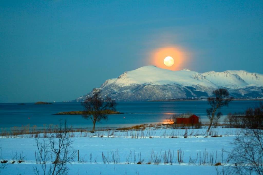 House By The Sea Villa Sortland Buitenkant foto
