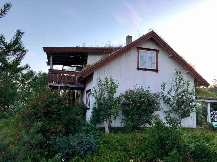 House By The Sea Villa Sortland Buitenkant foto